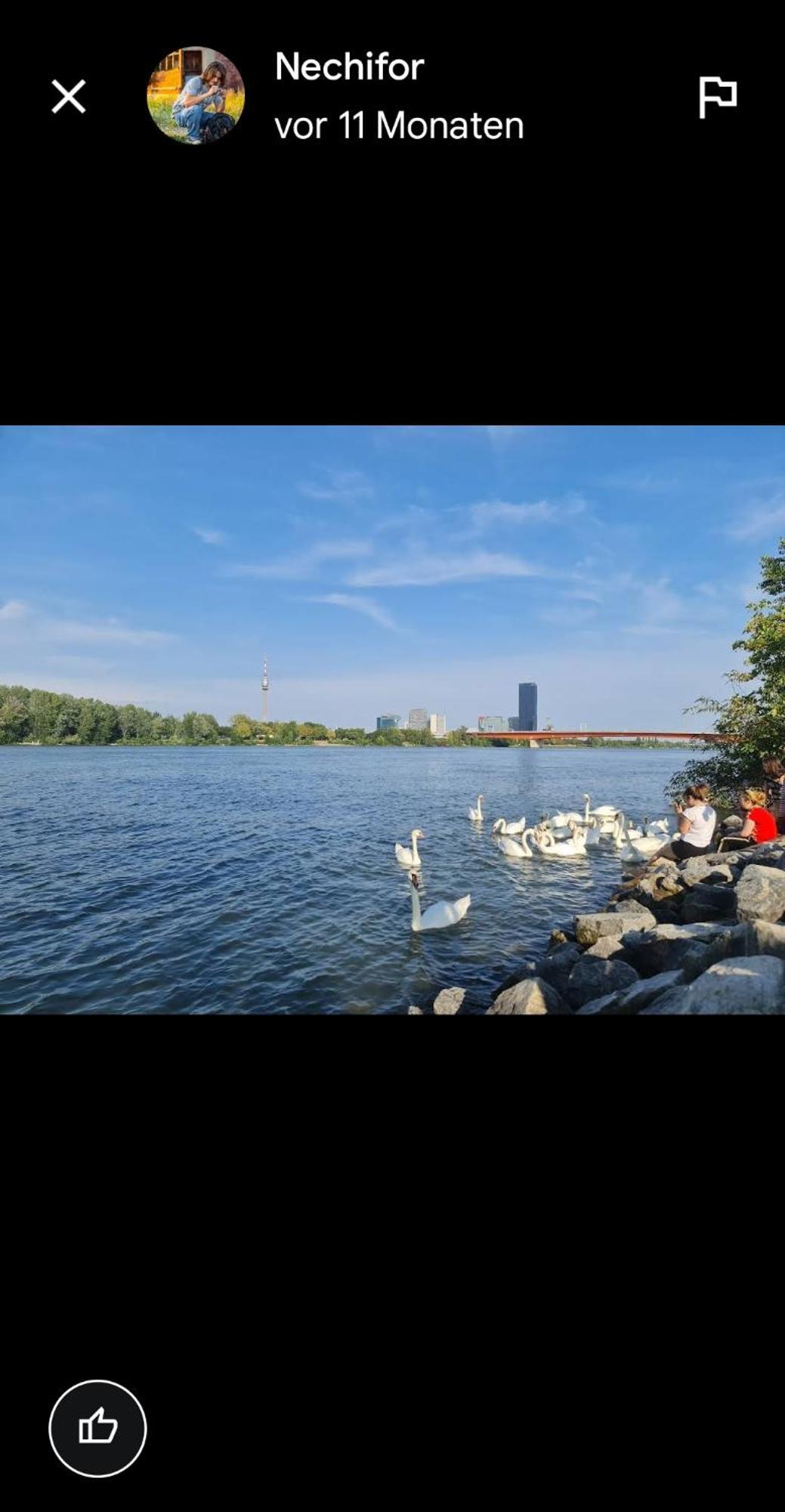 Schoene Altbauwohnung Wien Zentrum Brigittenauer Laende 32 المظهر الخارجي الصورة