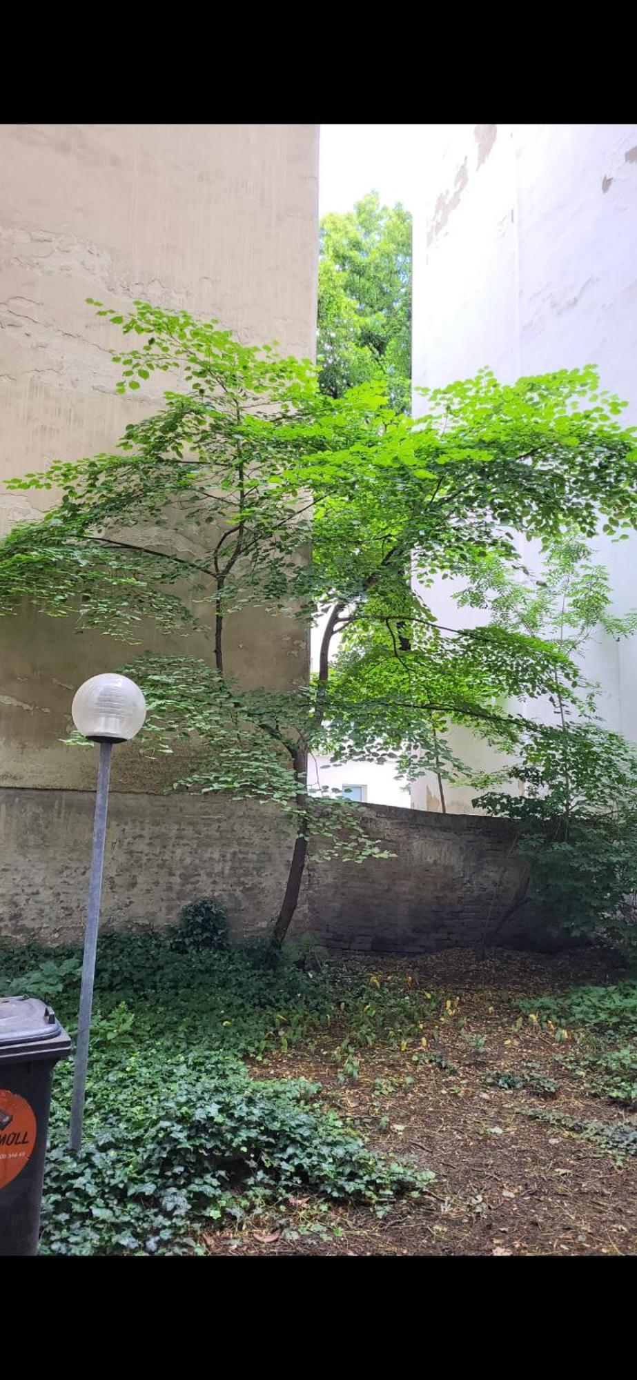Schoene Altbauwohnung Wien Zentrum Brigittenauer Laende 32 المظهر الخارجي الصورة